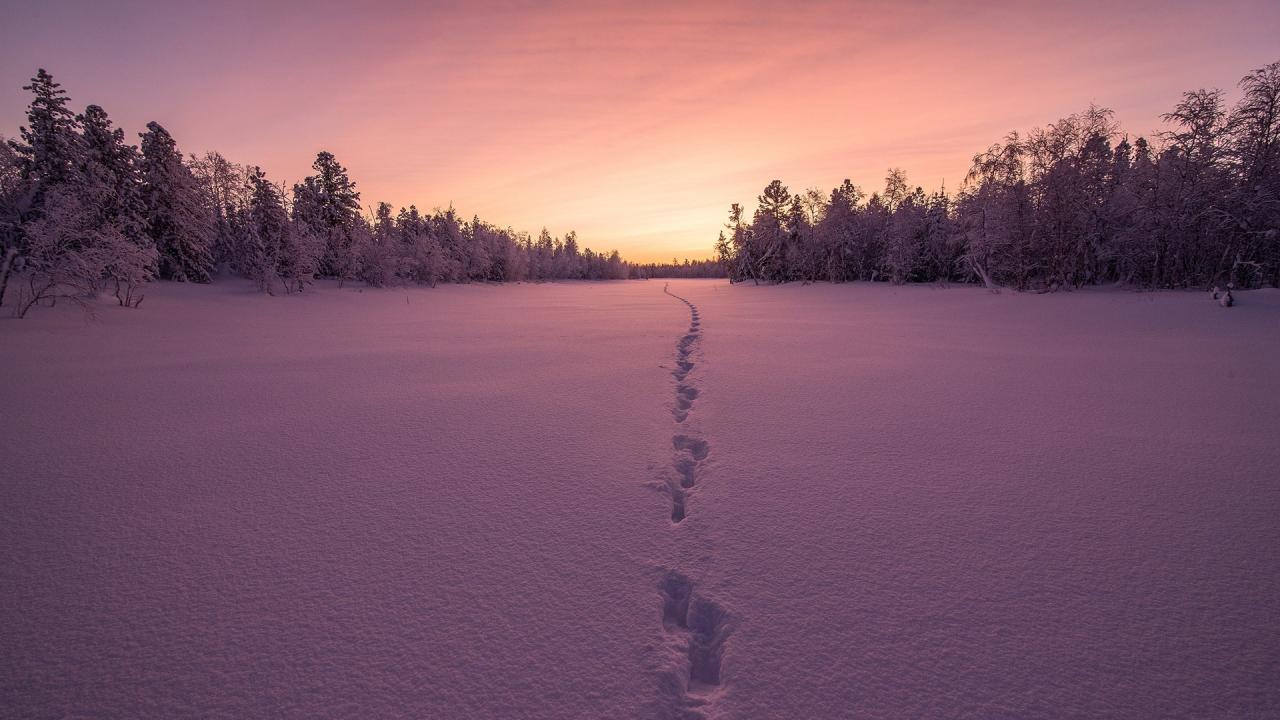 创业项目推荐（大学生创新创业项目推荐）