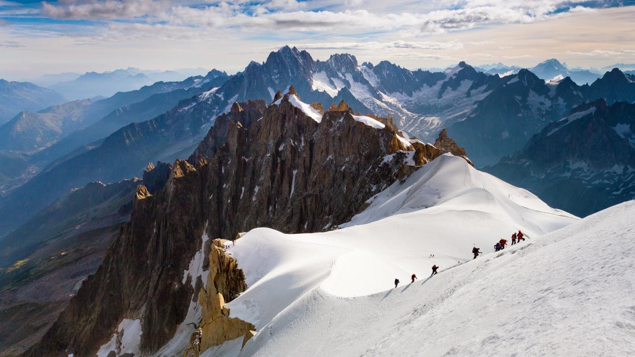 闲置地下室创业项目（闲置地下室创业项目蘑菇）