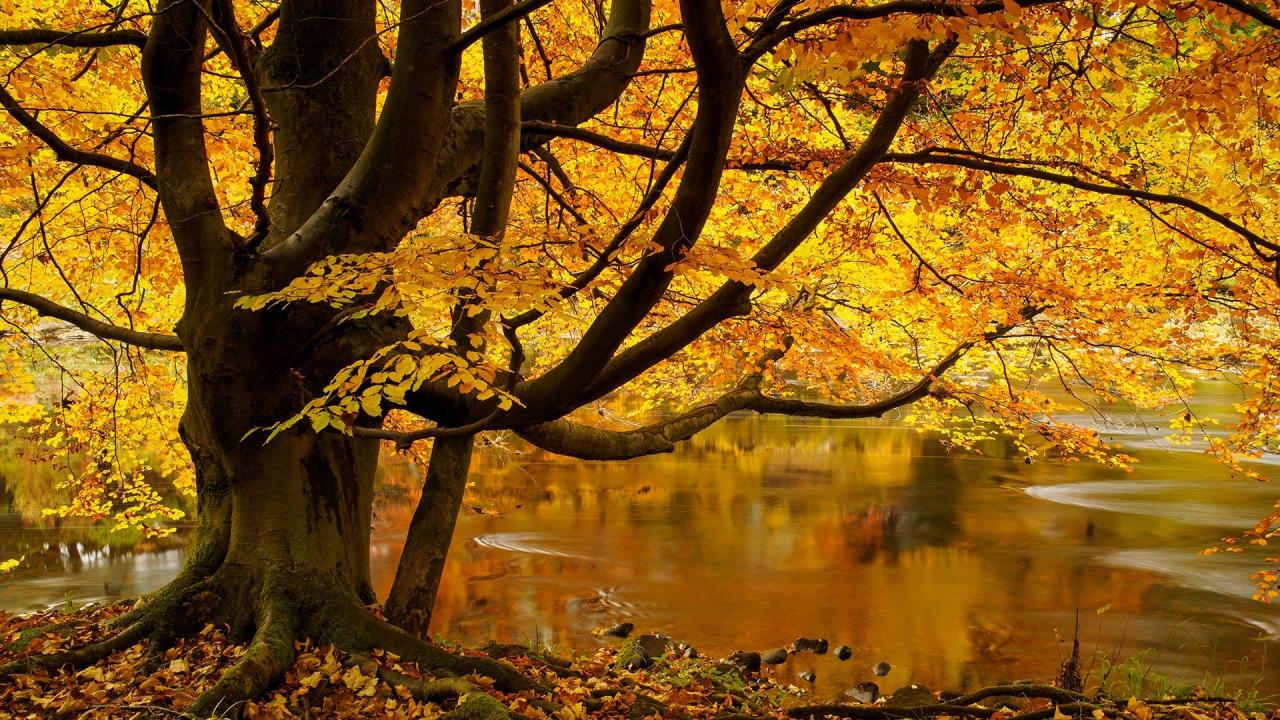 创业项目如何找投资人（创业项目如何找投资人信息）