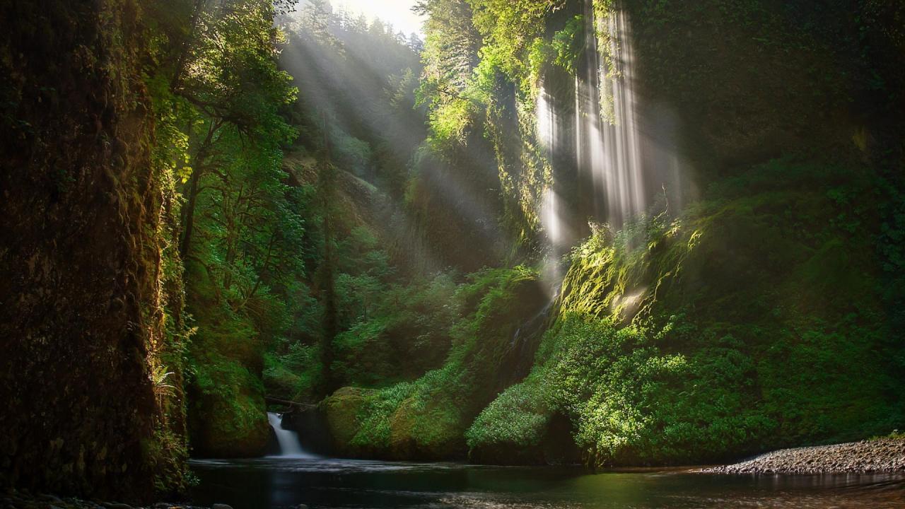 创业项目加盟（创业项目加盟网）