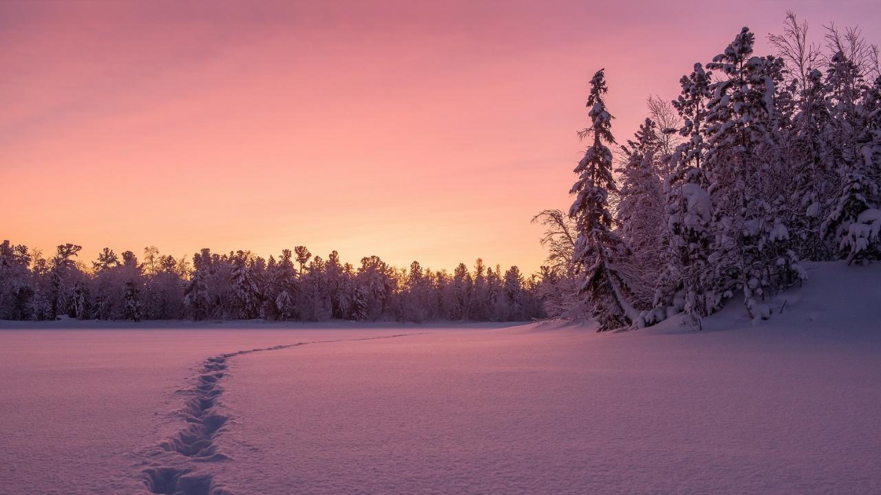 大学生新奇的创业项目（大学生新奇的创业项目互联网）