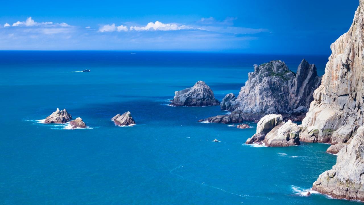 如何做电商创业项目（免费开店的电商平台）