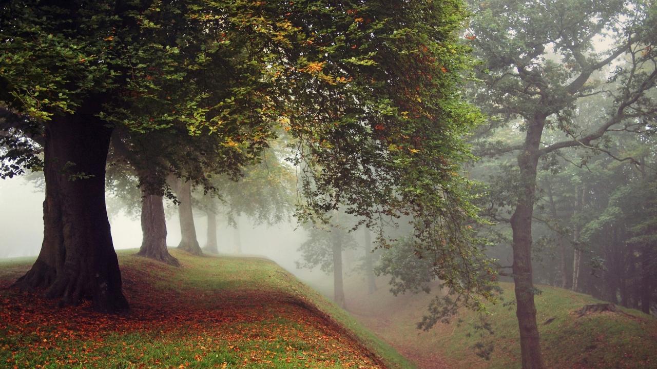 互联网+创业项目（互联网+创业项目官网）